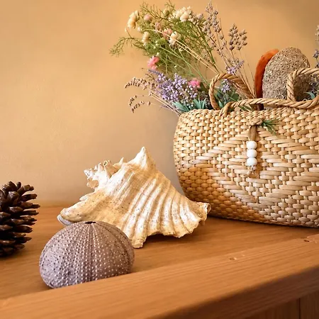 דירה Spacious Retro 3-bedroom 130m2 In Zadar, Puntamika Borik Area זאדאר